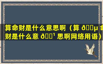 算命财是什么意思啊（算 🐵 命财是什么意 🌹 思啊网络用语）